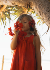 Little Juno Dress - Red
